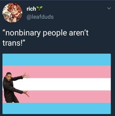 spooky-scary-skeletrans:
“ underwaterarcades:
“ gaydiskhorse:
“ baroquecourse:
“ gayvetforlife:
“ but… they’re not. Trans is short for “transitioning” which is to say you go from one gender to the other. Non-binary people are not transitioning to...