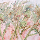 British Flower Paintings - A Garden of Loveliness