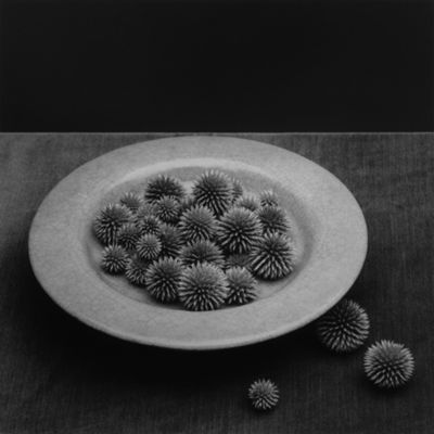 Robert Mapplethorpe, ‘Pods’, 1985