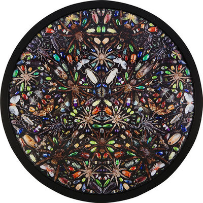 Damien Hirst, ‘Phleygas’, 2016