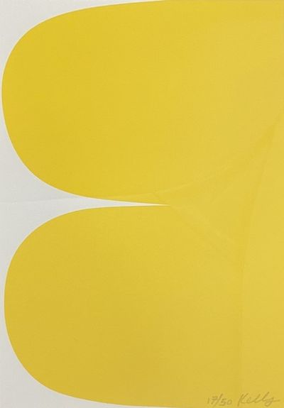 Ellsworth Kelly, ‘Yellow Curves’, 2013