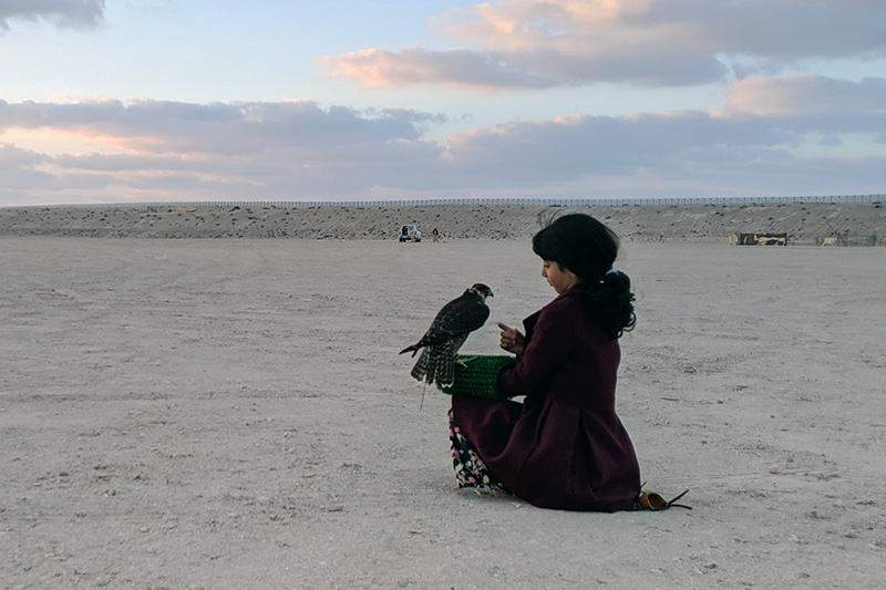 Young falconer Osha readies her falcon, Yas