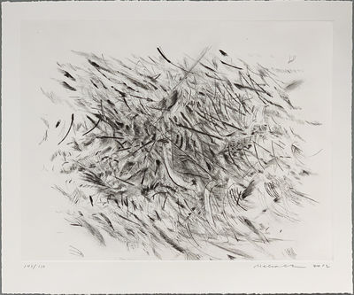 Julie Mehretu, ‘Haka’, 2012