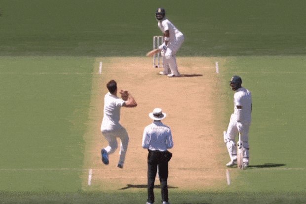 Kohli gif