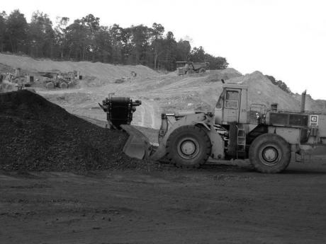 Wildcats in the Appalachian coal fields - William Cleaver