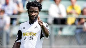 Report: Stoke City launch late bid to sign Wilfried Bony from Manchester City