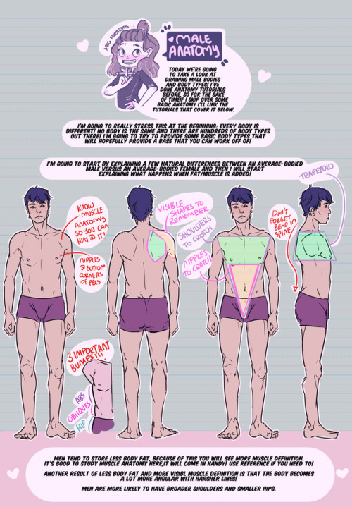 thundercluck-blog:
“ lHey friends!
Meg here for TUTOR TUESDAY! Today has been hectic so I apologize for it’s lateness. But let’s look at male bodies and body types. I cannot stress enough that this is meant to be provide a few base body types that...