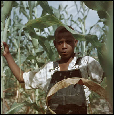 Gordon Parks, ‘Untitled, Shady Grove, Alabama (37.028)’, 1956