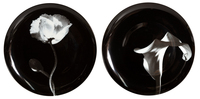 Robert Mapplethorpe, Pair of Porcelain Plates, Cala Lily and Poppy Flower