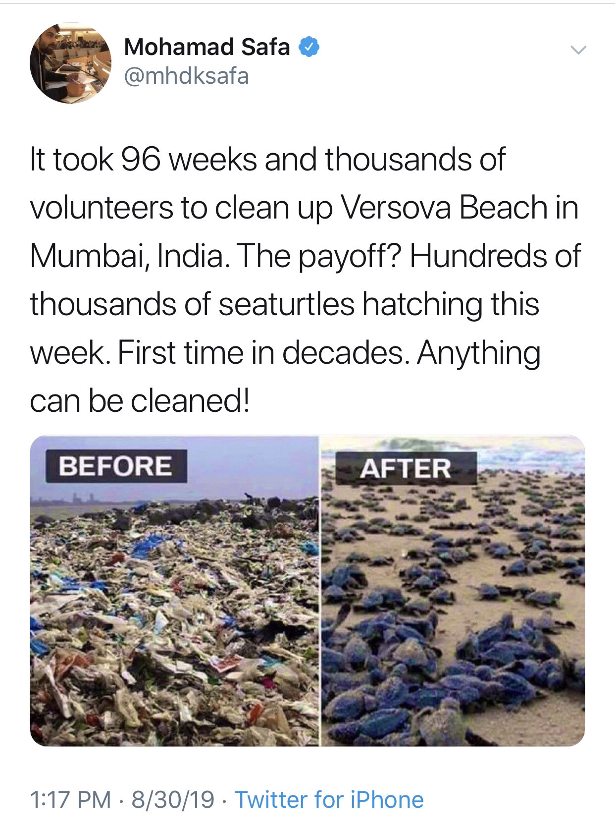 kawaiimon:
“ positive-memes:
“THESE are the sorts of changes you can see with #TrashTag
”
https://www.theguardian.com/world/2018/mar/30/mumbai-beach-goes-from-dump-to-turtle-hatchery-in-two-years
A good article which explains the process of cleaning...