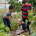 Kids Gardening