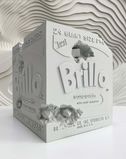 Eroded Brillo Box