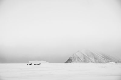 Cristina Mittermeier, ‘Whiteout (Landscape with Dogs)’, 2015