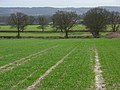 Farmland, Stoke Talmage - geograph.org.uk - 718748.jpg