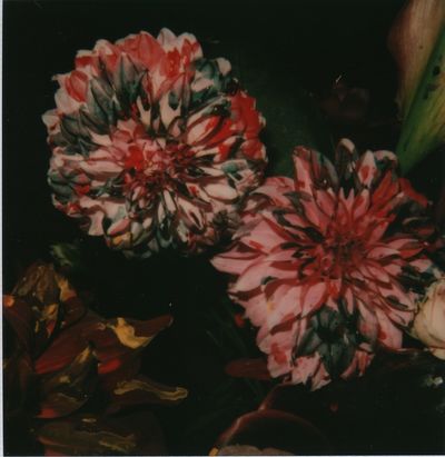 Nobuyoshi Araki, ‘Flower’, 2006-2009