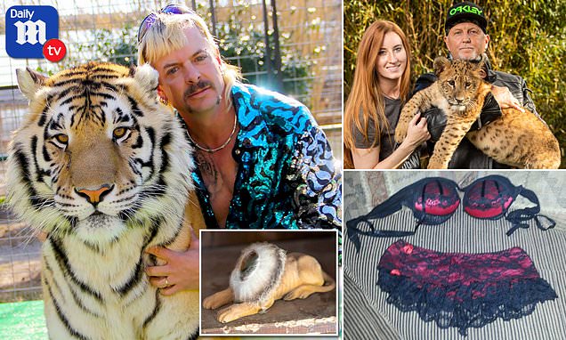 Tiger King's Joe Exotic used stuffed animals as sex toys'