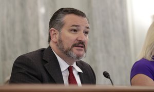 Sen. Ted Cruz asks questions of U.S. Customs and Border Protection Executive Assistant Commissioner for Operations Support William Ferrara during testimony in a hearing