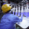 A company made disposable gloves for the world. Now its workers have the virus