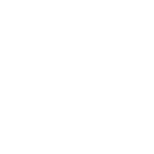 SD Europe