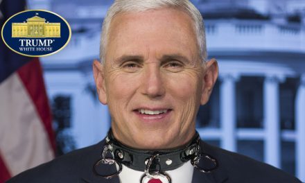 Mike Pence: Vice President