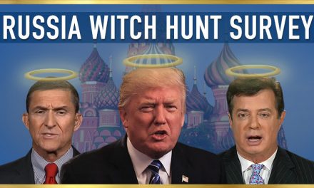 Russia Witch Hunt Survey