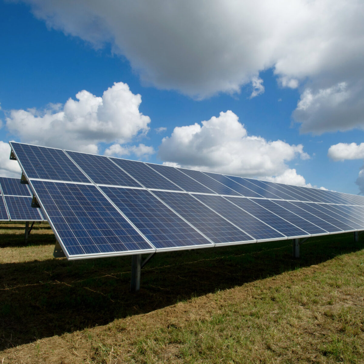 Solar panels in a field