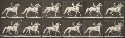 Eadweard Muybridge, ‘Animal Locomotion, Plate 590’, 1887