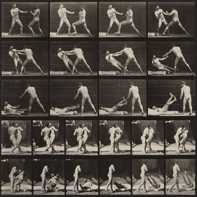 Eadweard Muybridge, ‘Animal Locomotion, Plate 333’, 1887