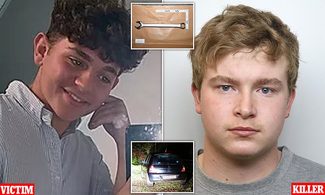 Millionaire farmer's son, 20, jailed for murdering boy, 15, to stop him revealing secret