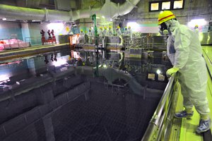 File - Georgi Stoyanov, of the Canadian Nuclear Safety Commission, examines the Common Spent Fuel Pool at TEPCO's Fukushima Daiichi Nuclear Power Station on 27 November 2013. Stoyanov is participating in an IAEA expert team that is assessing Japanese efforts to decommission the stricken nuclear power plant.