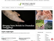 Mongabay