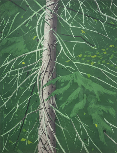 Alex Katz, ‘Spruce’, 1994