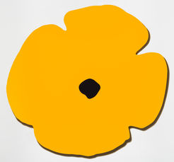 Yellow Wall Poppy, Aug 13, 2020