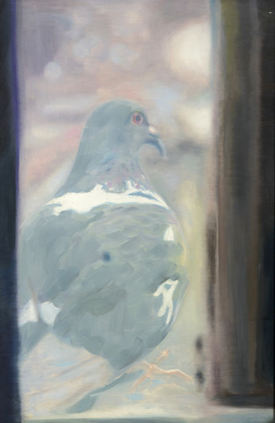 Yigal Ozeri, ‘Untitled "Pigeon"’, 2004
