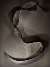 Photograms