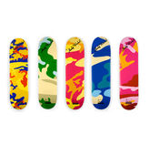 Camouflage (set of 5 skateboard decks)