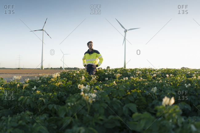 Engineer standing in a field at a wind farm