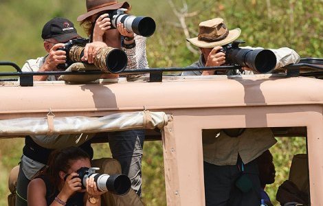 Tourists and photographers zoom in on wildlife at the Mara river during the great wildebeest migration, Maasai Mara National Reserve, Kenya. ERIC BACCEGA/ALAMY