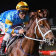 Vowmaster wins at Moonee Valley in November.