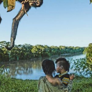 Machiguenga children at play in Manu’s spectacular wilderness, while their pet spider monkey explores a tree. CHARLIE JAMES/NATIONAL GEOGRAPHIC/ALAMY