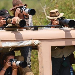 Tourists and photographers zoom in on wildlife at the Mara river during the great wildebeest migration, Maasai Mara National Reserve, Kenya. ERIC BACCEGA/ALAMY