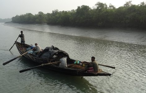Saving the Sundarbans