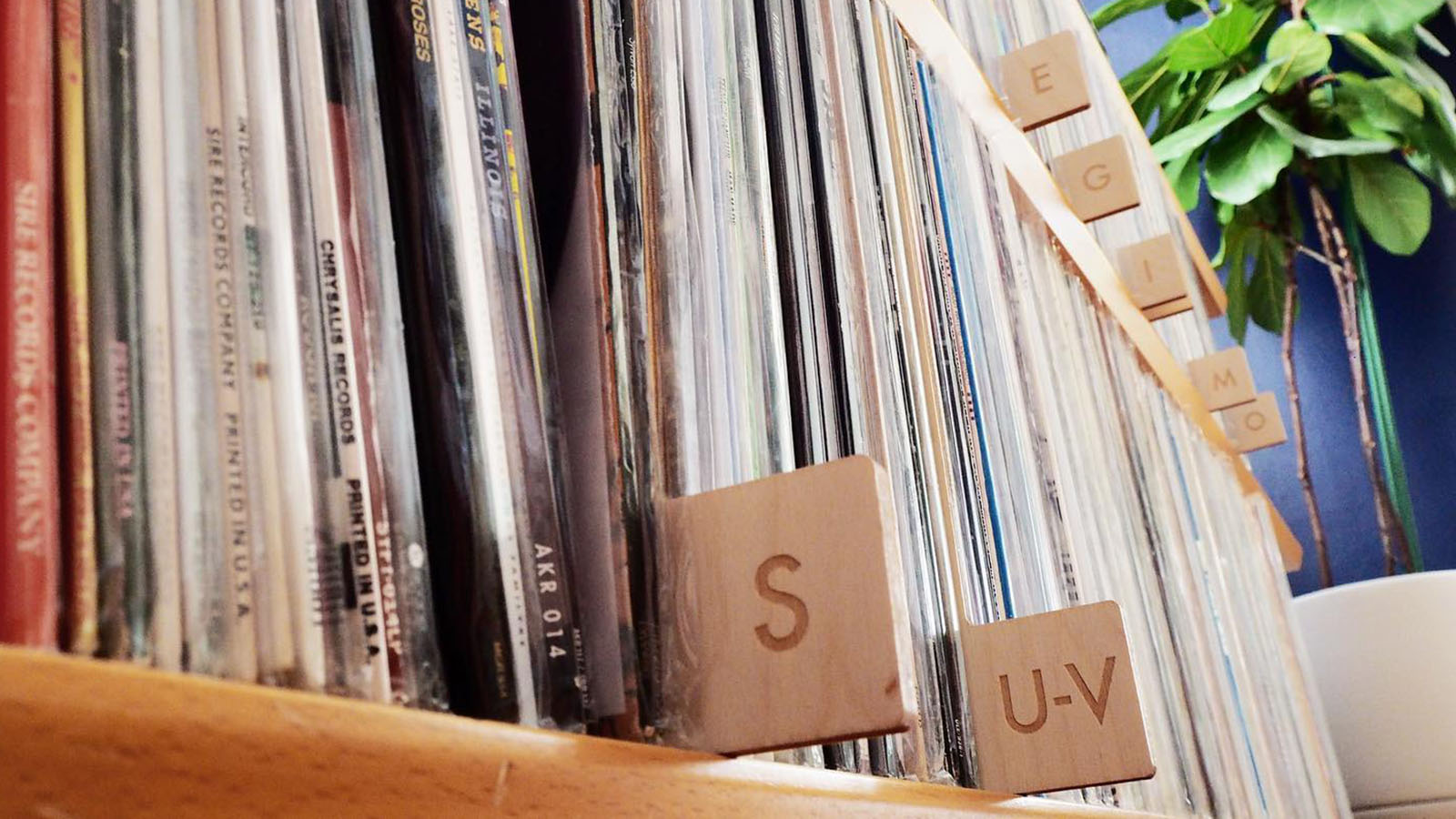 Vinyl Record Storage Dividers Koeppel Design