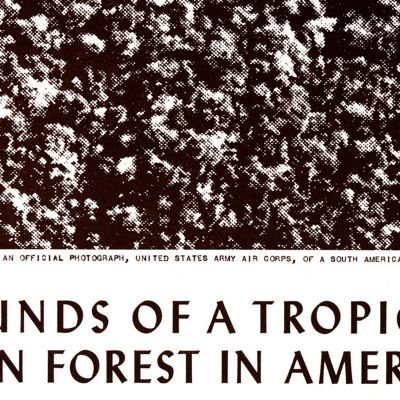 When It Rains, It Pours | Smithsonian Folkways Magazine