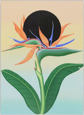 Bird of Paradise