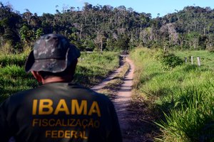 Amazon Rainforest - Deforestation in Brazil - IBAMA