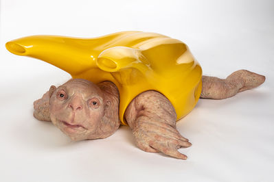 Patricia Piccinini, ‘Cleaner’, 2019