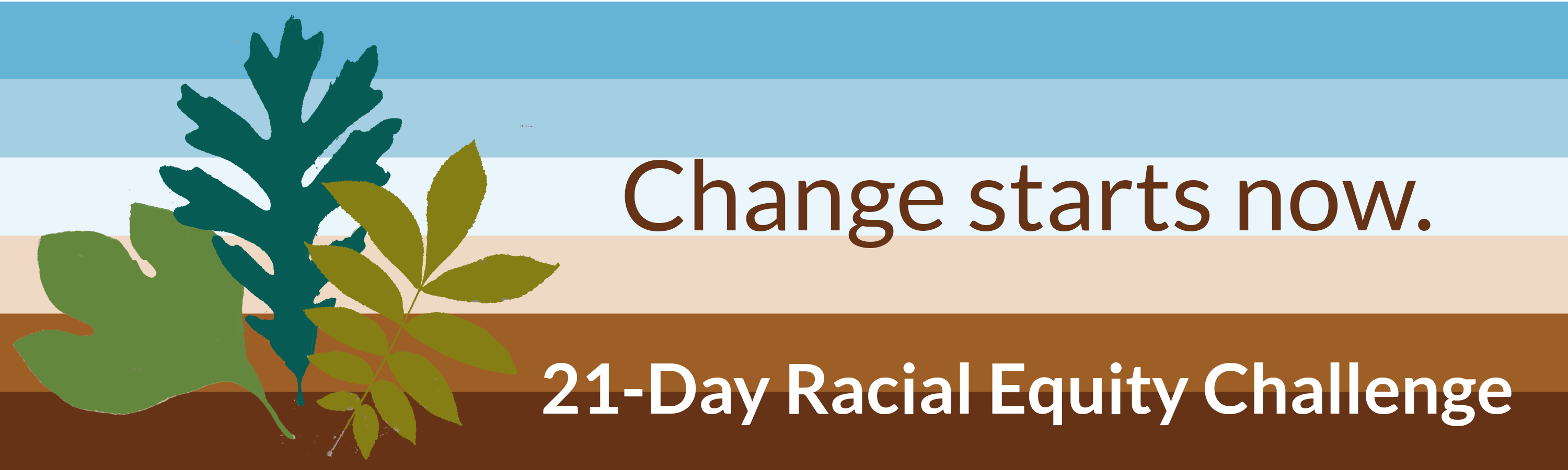 21 DAy Racial Equity Challenge