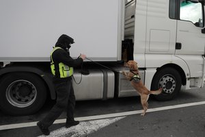 File - A security officer and his sniffer dog check a lorry heading to Britain in the first ferry after Brexit, Friday Jan.1, 2021 in the port of Calais, northern France. Britain left the European bloc's vast single market for people, goods and services at 11 p.m. London time, midnight in Brussels, completing the biggest single economic change the country has experienced since World War II.