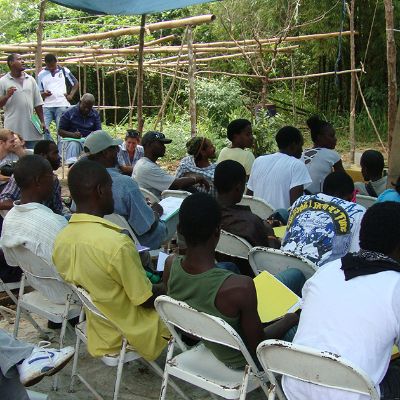 Organic Farming in Jamaica